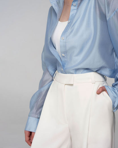 Palazzo pants